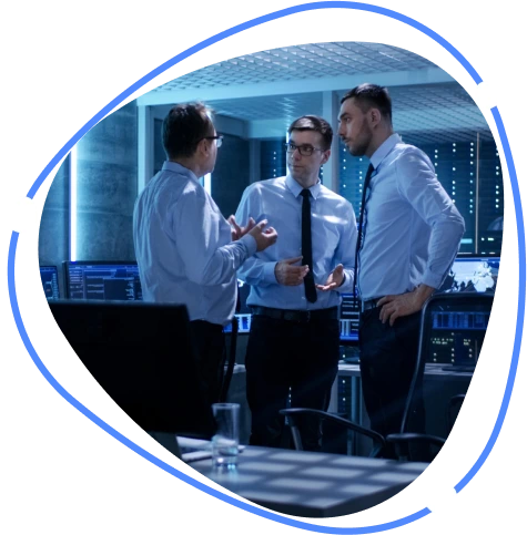 Expert IT consulting services