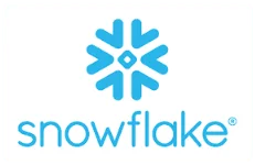 Innovative IT & Digital Solutions 63 Snow Flake 1 - Epicsoft Technologies