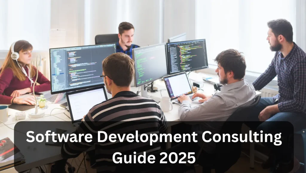 Software Development Consulting Guide 2025 1 Software Development Consulting Guide 2025